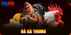 Đá gà Trực Tiếp