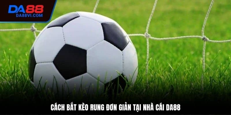 Cách bắt kèo rung chuẩn không cần chỉnh từ cao thủ